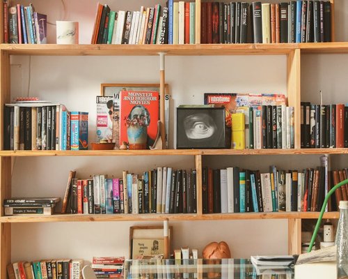 bookshelf with diverse books in a cozy reading environment